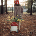 Bild in Galerie-Betrachter laden, (Red Mushroom)
